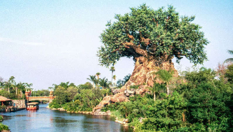 PARQUE TEMÁTICO DISNEY ANIMAL KINGDOM