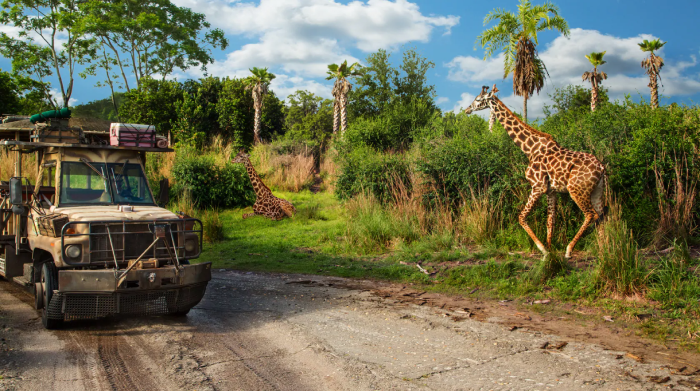 parque-tematico-disney-animal-kingdom